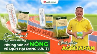 AgriJapan | Đài Thơm 8 đông xuân 2025 những vấn đề nóng về dịch hại đáng lưu ý & giải pháp AGRIJAPAN