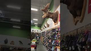 Sportsmans Warehouse - Fresno, California May 7, 2022