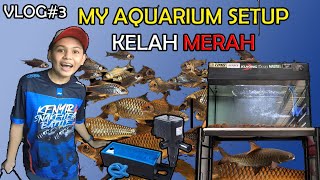 MY AQUARIUM SETUP KELAH MERAH (PART 1) - (VLOG 3)