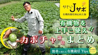 有機のチカラでカボチャ栽培、3月開始で8月収穫!! J的初心者向有機Tips【Jサポ by 自然農法センター】