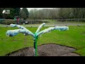 whin park upgrade inverness progress update january 2025