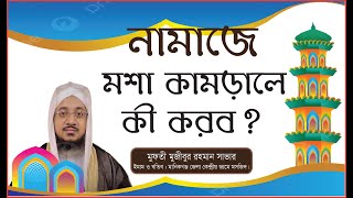 নামাজে মশা কামড়ালে কী করব?  #মুফতী_মুজীবুর_রহমান_সাভার #alor_pother_jatri