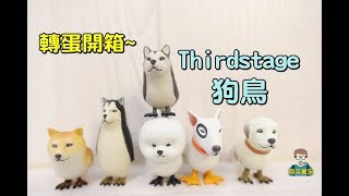 阿平實況 韓國 轉蛋 扭蛋 設計師玩具 Thirdstage 狗鳥 迷你版 全6種 開箱