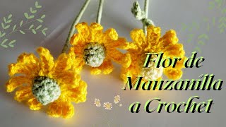 Flor de Manzanilla a Crochet / Fácil y sencillo