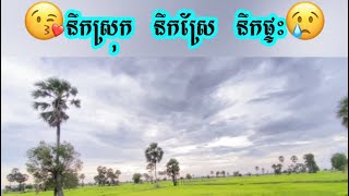 ទេសភាពស្រុកស្រែភូមិខ្ញុំ🥰នឹកស្រុក នឹកស្រែ នឹកផ្ទះ😢