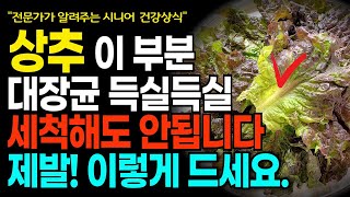 아프기 싫다면 상추 제발 이렇게 먹지마세요! 이렇게 먹어야 골다공증, 불면증, 눈건강 좋아집니다! 상추효능  건강음식정보