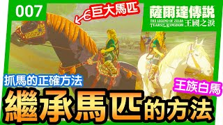 【薩爾達傳說 王國之淚】07-繼承馬匹的方法 | 簡單成功的抓馬方法(Tears of the Kingdom)