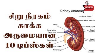 சிறுநீரகம் காக்க -  அருமையான 10  வழிமுறைகள் /3 Minutes alerts