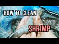 HOW TO CLEAN  SHRIMP