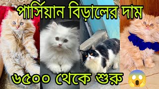 অফার‼️পার্সিয়ান বিড়ালের দাম ২০২৫ || Persian cat price in bangladesh ||