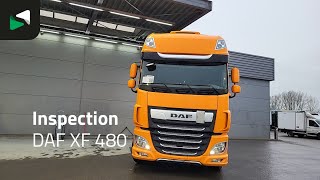 DAF XF 480 - 2021 - BAS World