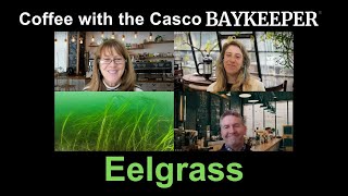 Coffee with the Casco Baykeeper: Eelgrass