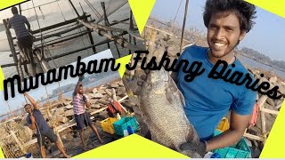 🐬🐬Munambam Fishing Diaries vlog 1.🐬 | Malayalam vlogs | 🐬 Fish Catching in chinese net 🐬  | vlogs |