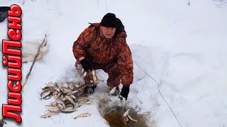 Китайская сеть, постановка под лед и проверка