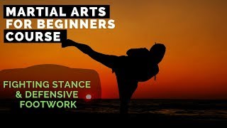 Martial Arts for Beginners – Lesson / Karate - Fighting Stance & Defensive Footwork
