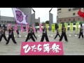 my matsuri ひたち舞祭2015spring　～youngya2さん 手のひらに太陽を！　＜福島県いわき市＞