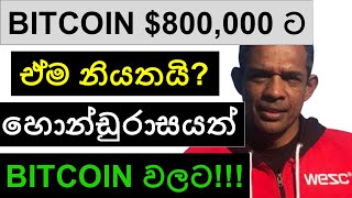 BITCOIN $800,000 ඒම නියතයි? | හොන්ඩුරාසයත් BITCOIN වලට!!!