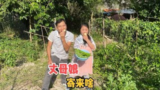 丈母娘提前给小妹寄来礼物，炮哥却醋意十足生气了，咋回事【壮乡小妹】