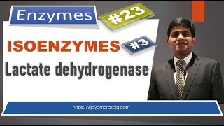 Lactate dehydrogenase: Isoenzymes: Diagnostic important enzymes