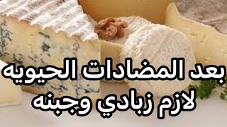 ليه الزبادي والجبن بعد المضادات الحيويه