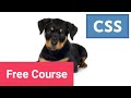 Learn CSS Layout