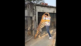 Tiger Hugs a man | Human Animal Love | Animal Owner Reunion #shorts