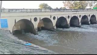 WALAJAPET ANAICUT I RANIPET DIST I 23-11-2021 I river water going to Kaveri pakkam