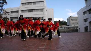 大阪芸術大学よさこい×結び　2013「飛天人」　大阪芸術大学学園祭