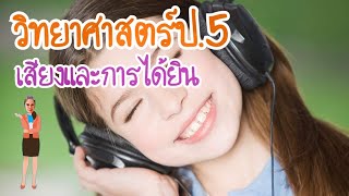 วิทยาศาสตร์ป.5 : เสียงและการได้ยิน