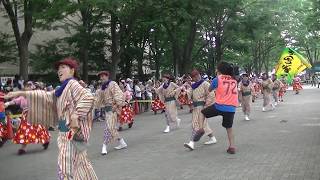 ぬまづ熱風舞人～原宿表参道スーパーよさこい2017(NHK前ストリート）