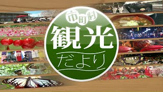 【市町村観光だより】館林市(24/11/29)