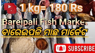 Fish Market Sambalpur ll ମାଛ ମାର୍କେଟ Bareipali Sambalpur ll Near IoN Digital Sambalpur🙏