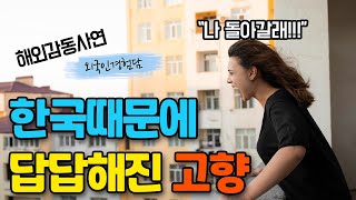 한국 살다 돌아온 미국 여성이 평생 살아왔던 고향을 답답해하는 이유