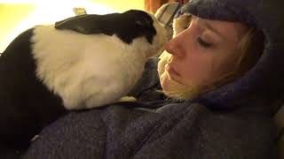 Rabbit giving kisses!