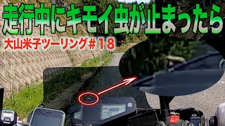 [４０代モトブログ]バイクで走ってる時にメーターにキモイ虫が止まった