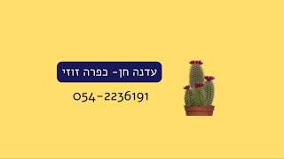 עדנה חן-כפרה זוזי. מוציאה לפועל's Zoom Meeting