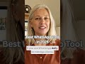 WhatsApp Auto-Reply Tips for Faster Responses