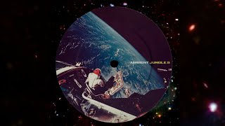 90s Ambient Jungle Mix [5] (Intelligent DnB)