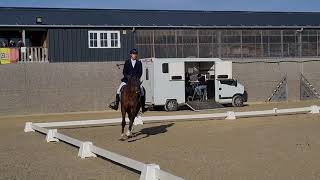 Concours dressage, Lempereur le 10/10/21, Ini 6 Garde à vous du Hameau Du Bois.