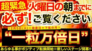 “一粒万倍日＋下弦の月”の明日の朝までに必ずご覧ください⚠️【12月5日(火)大大吉日】あらゆる事がポジティブ転換開始※！新たなステージへ導かれていく！🌟【奇跡が起こる高波動エネルギー・邪気祓い動画】