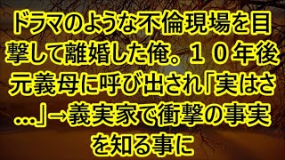 ドラマのような不倫現場を目撃して離婚した俺。１０年後元義母に呼び出され「実はさ…」→義実家で衝撃の事実を知る事に【総集編】