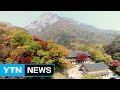 설악산 첫 단풍 시작, 지난해보다 5일 늦어 / YTN