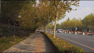 【4K】06.上海漫步虹桥路&上海动物园&小马路 /Shanghai strolling Hongqiao Road Shanghai Zoo Xiaoma Road