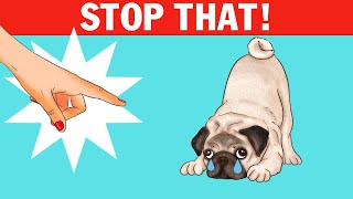 20 Harmful Mistakes Dog Owners Make Without Realizing It