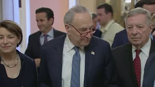 Senator Chuck Schumer reelected as democratic leader