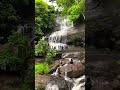 waterfall areekkal waterfall kerala ernakulam places to visit explore kerala explore