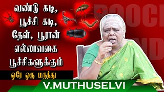 வண்டு கடி, பூச்சி கடி, தேள், பூரான் எல்லாவகை பூச்சிகளுக்கும் ஒரே ஒரு மருந்து