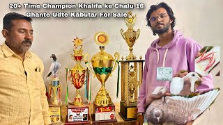 FS 20+ TIME🏆WITH ALL INDIA🇮🇳CHAMPION KHALIFA KE 31 CHALU 16 GHANTE  UDNE WALE KABUTAR M.9975143897