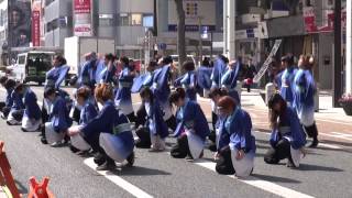 第13回 浜松がんこ祭　Team8