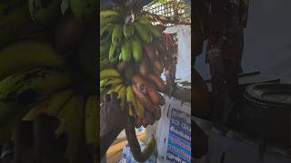 ஒரே குழையில் இரண்டு வகை வாழைபழங்கள்#nature #trandingshorts #travel#griffen #vlog #youtube #viral